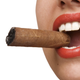 Illustration for article titled Cigars For Women: Because Ladies Can Get Man Cancer, Too